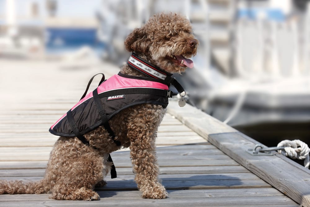 Product Image for Baltic Mascot Hundevest Rosa S 3-8kg