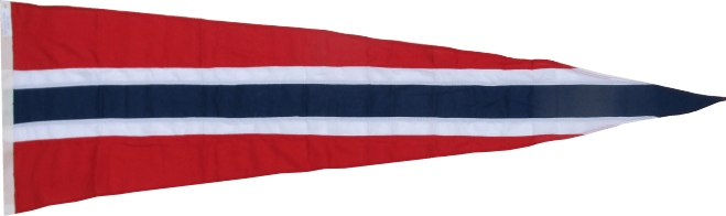 Product Image for Vimpel Norge 200cm