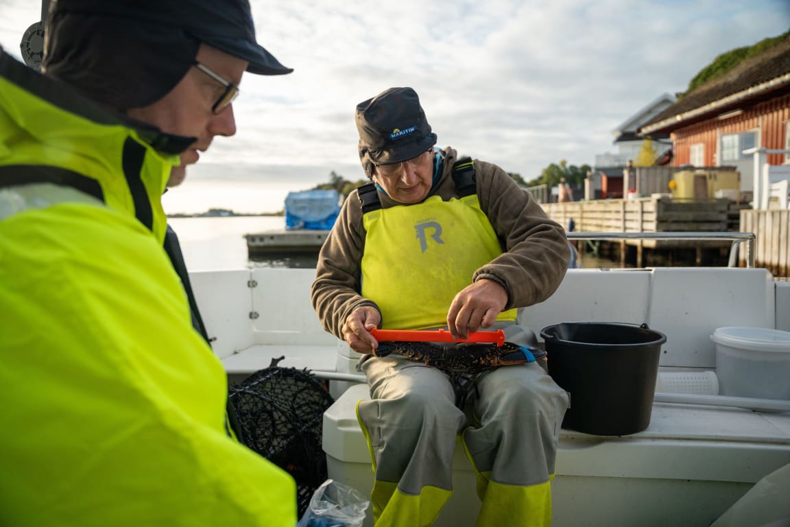 ALT AV UTSTYR TIL HØSTFISKE