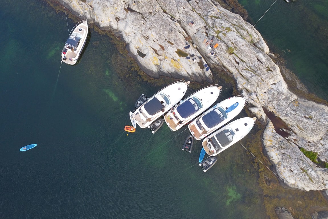 Ingen ledige stillinger