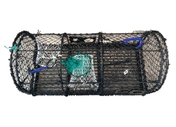 Hummerteine fritidsfiske 9 kg
