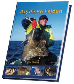 Agnfiske i sjøen