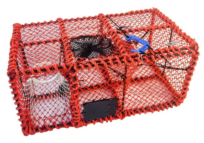 Kombiteine kreps, krabbe og hummer