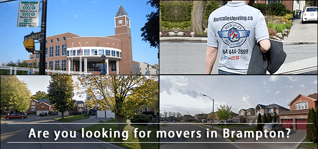 Brampton movers in Ontario