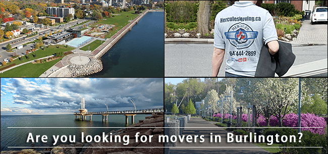 Burlington movers