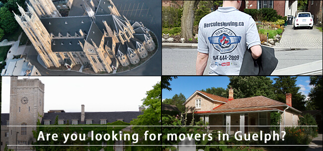 Guelph movers in southwestern Ontario