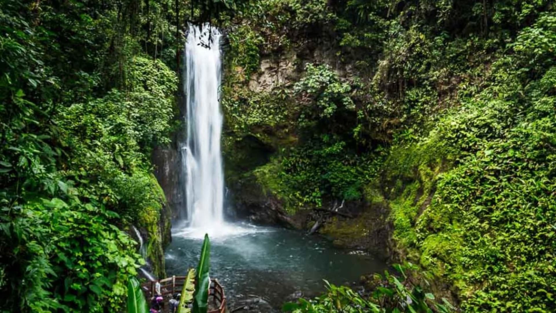Spektakulärer Wasserfall inmitten des dichten tropischen Regenwaldes