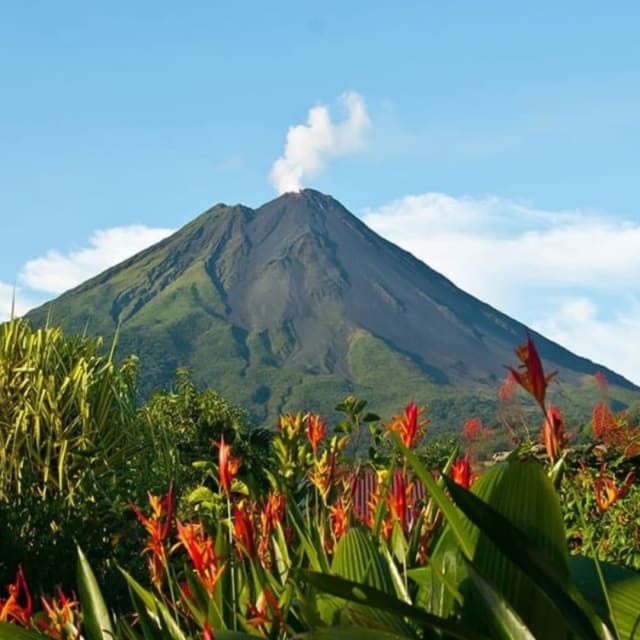La plus grande charrette à bœufs du monde certifiée par le Guinness à Sarchí, Costa Rica