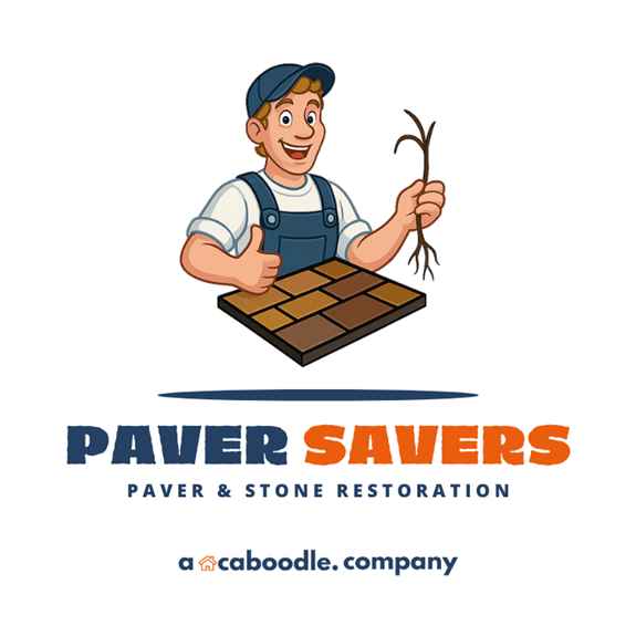 Paver Savers