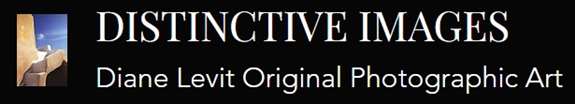 Distinctive Images