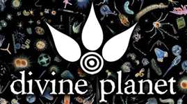 Divine Planet Studio