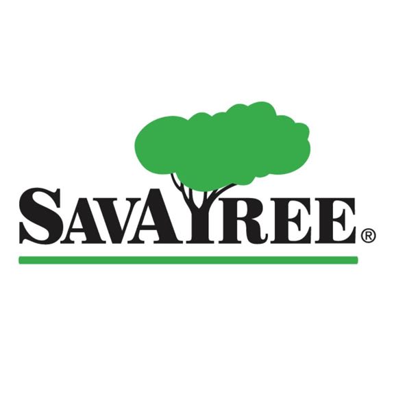 SavATree