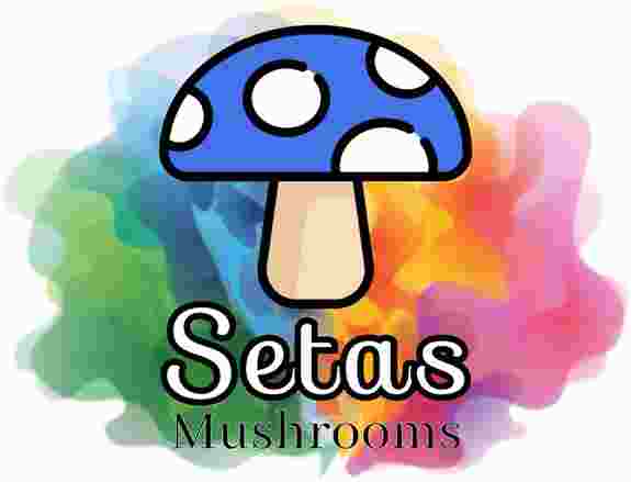 Setas Mushrooms