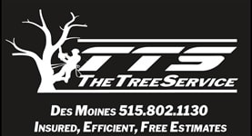 The Tree Service