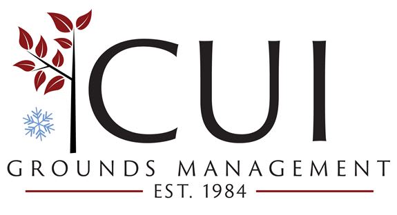 CUI Services Incorporated