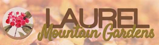 Laurel Mountain Gardens