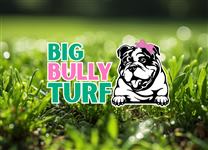 Big Bully Turf