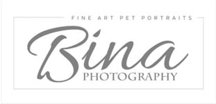 Bina Photography - Pet Portraits