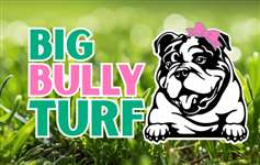 Big Bully Turf