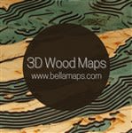 3D Wood Maps