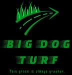 Big Dog Turf