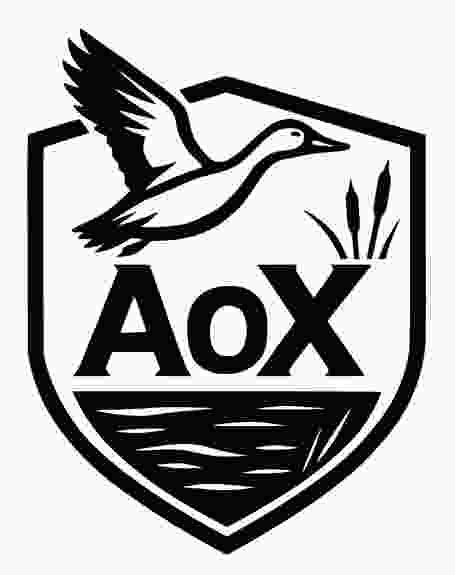 AoX