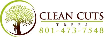 Clean Cuts Trees