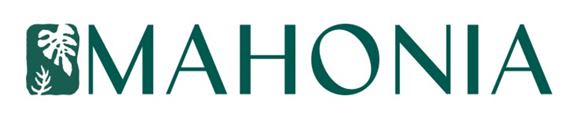 Mahonia Studio