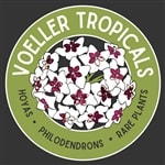 Voeller Tropicals