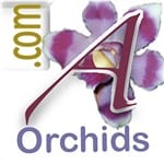 Andy's Orchids Inc.