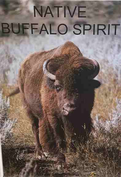 Native Buffalo Spirit