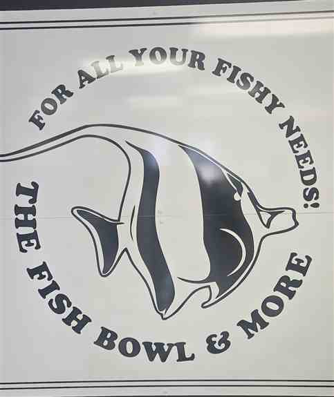 The Fish Bowl and More