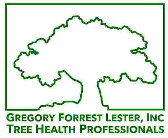 Gregory Forrest Lester, Inc.