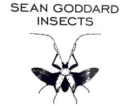 Sean Goddard Insects Gallery