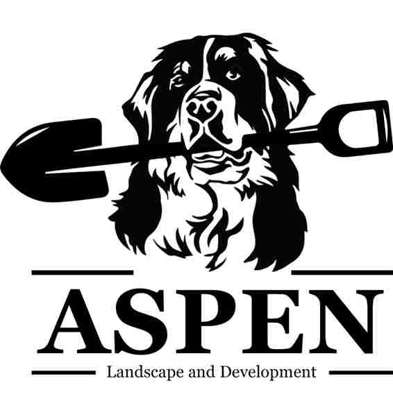 Aspen Landscape and Development