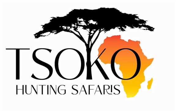 Tsoko Hunting Safaris