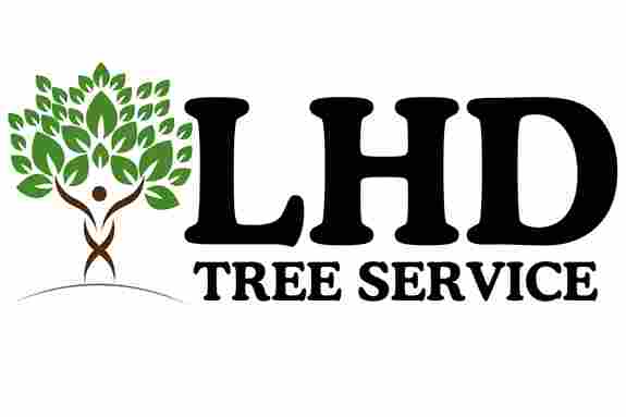 LHD Tree Service and Preservation
