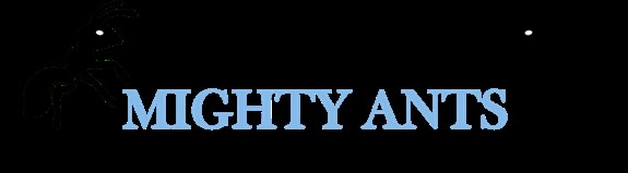 Mighty Ants Landscape and Design LTD