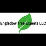 Engledow Tree Experts LLC