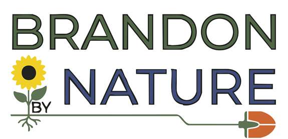 Brandon by Nature