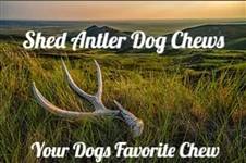 Shed Antler Dog Chews