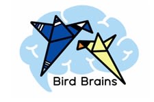 Bird Brains