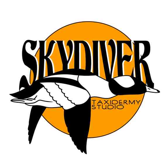 Skydiver Taxidermy Studio