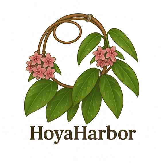 HoyaHarbor