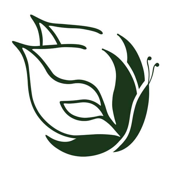 Second Nature School