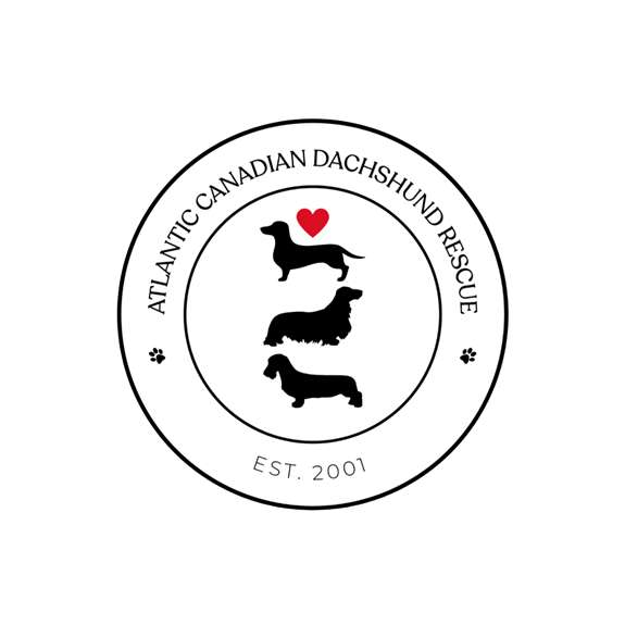 Atlantic Canadian Dachshund Rescue