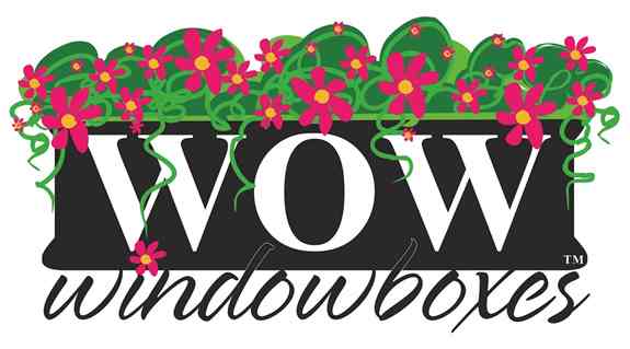 WOW Windowboxes