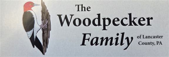 Woodpecker Family