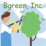 Bgreen, Inc.