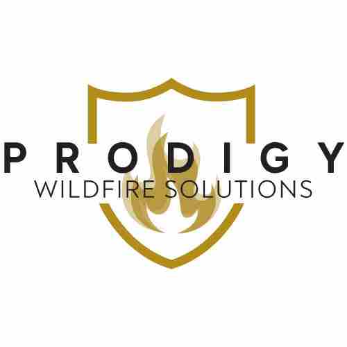 Prodigy Wildfire Solutions